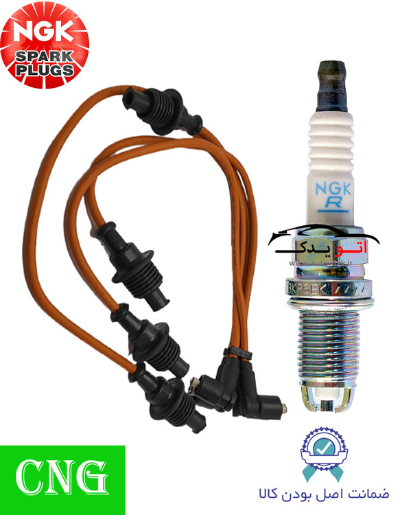 پک ویژه افزایش شتاب و قدرت خودروهای دوگانه سوز مناسب برای 405 پارس سمند