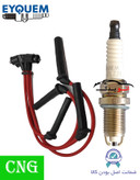 پک ویژه افزایش شتاب و قدرت خودروهای دوگانهسوز مناسب برای تیبا ساینا کوئیک