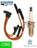 پک ویژه افزایش شتاب و قدرت خودروهای دوگانه سوز مناسب برای نسیان کاربراتوری