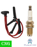 پک ویژه افزایش شتاب و قدرت خودروهای دوگانهسوز مناسب برای تیبا ساینا کوئیک