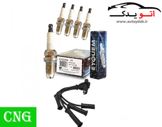 پک ویژه افزایش شتاب و قدرت CNG, پیکان, روا سال, اریسان1.6, RD