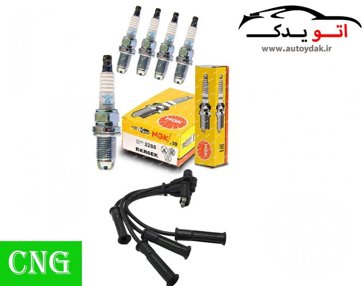 پک ویژه افزایش شتاب و قدرت CNG, پیکان, روا سال, اریسان1.6, RD